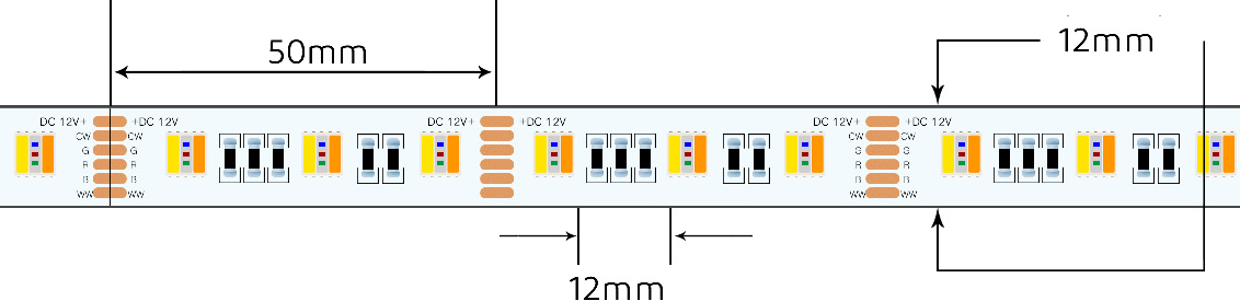 RGBWW-12V