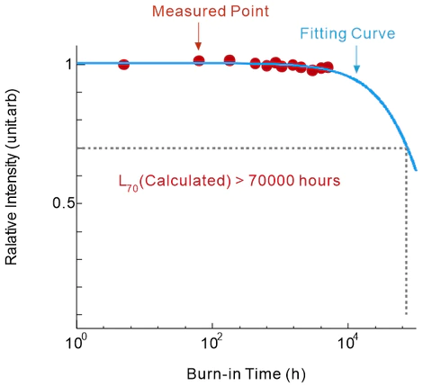 Burn-in test result