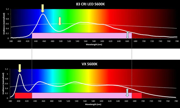 Full Spretrum VS normal LED