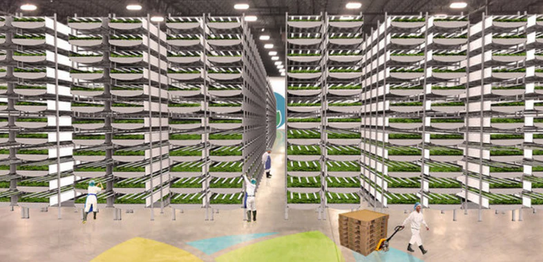 Future vertical farm based on led lighting technology
