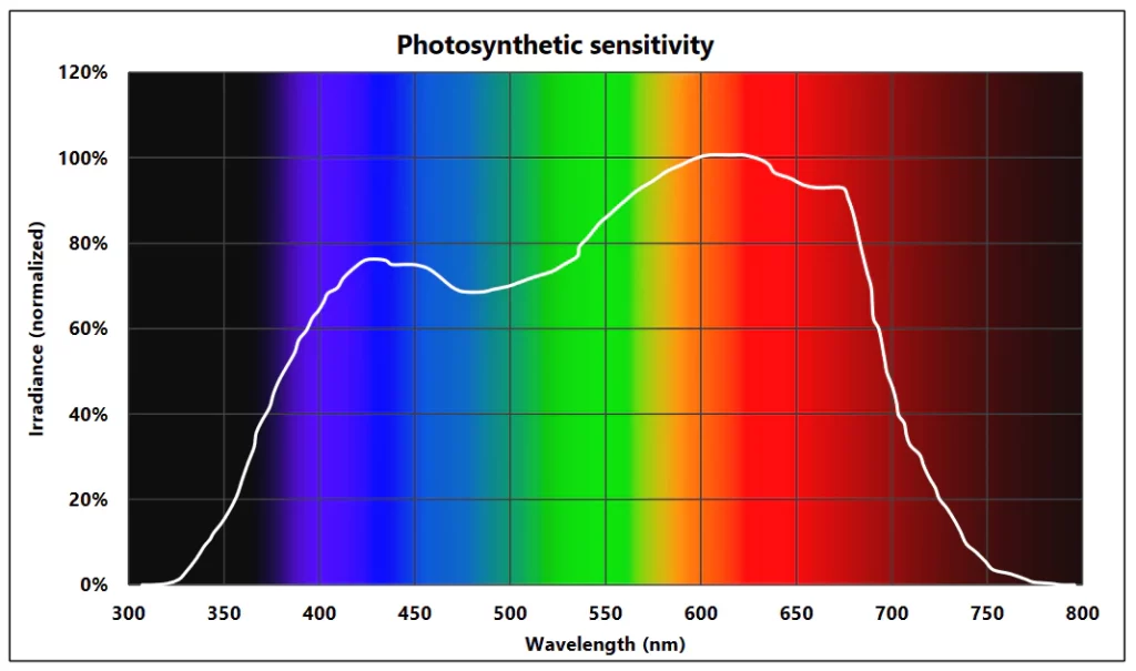 Photosynthetic sensitivity
