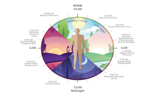 What is human centric lighting?