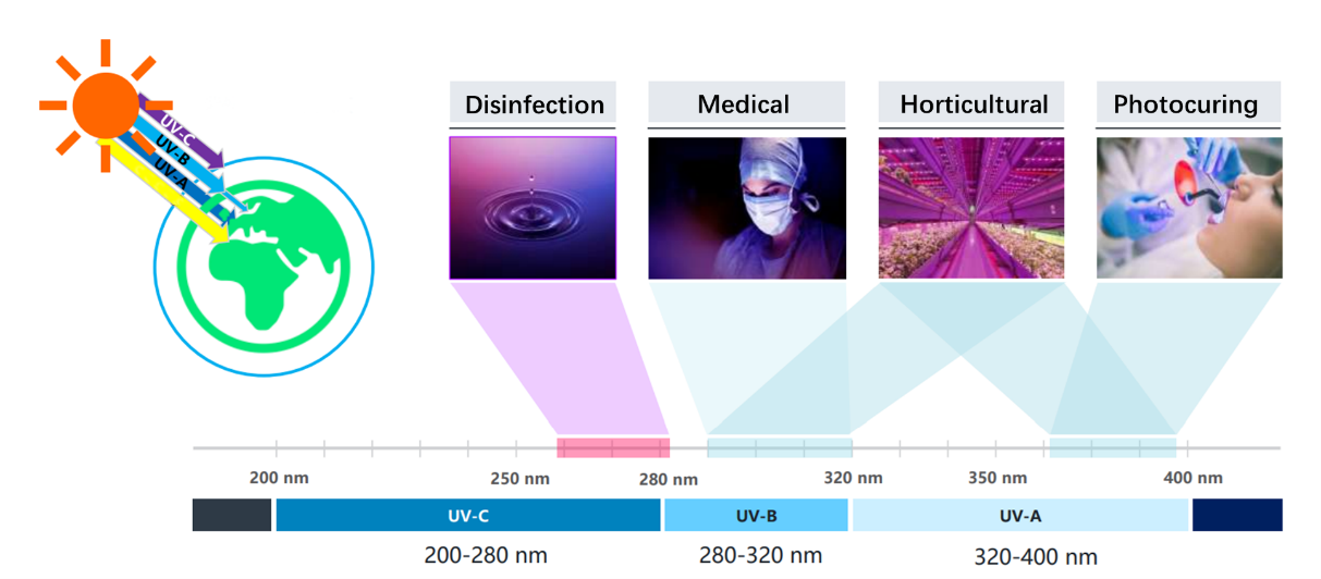 Understand the benefit and harm of UV