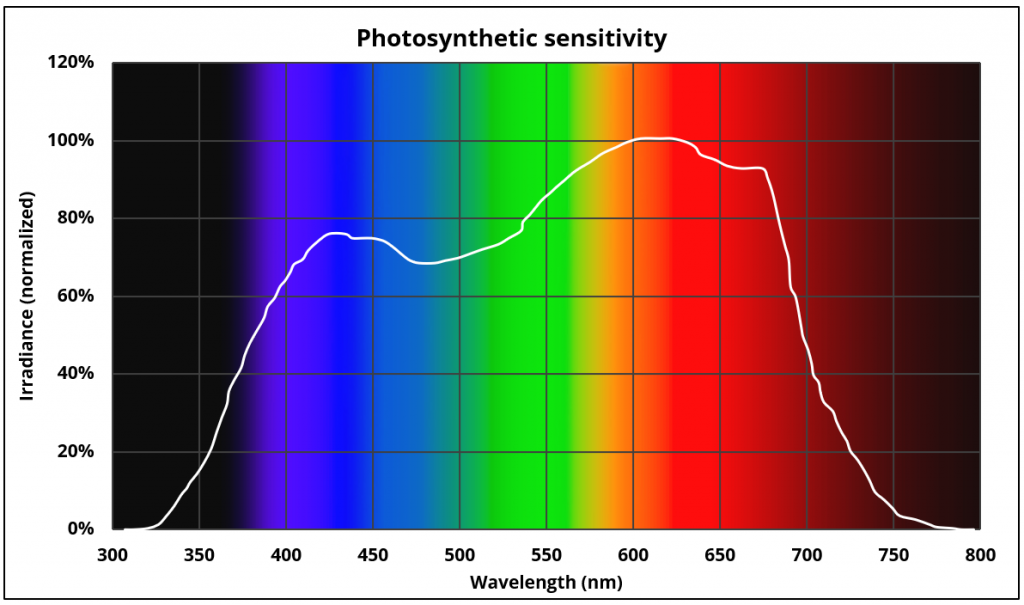 Are-CRI-and-luminous-efficacy-influencing-the-photosynthetic-photon-efficacy-figure5-1024x605