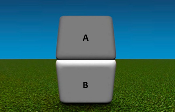 Figure-2.14-Are-A-and-B-the-same-color-Try-again-when-put-your-finger-in-the-middle-of-A-and-B-to-cover-the-boundary.jpg-600x605