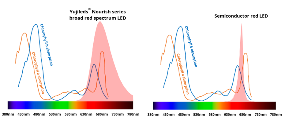 Broad red spectrum facilitates absorption by plants