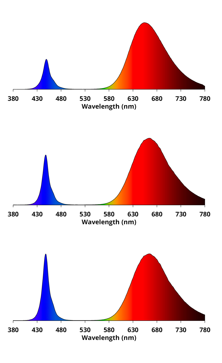 Flexible blue red design